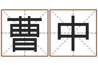 吴曹中勤张柏芝婚姻-开光仪轨