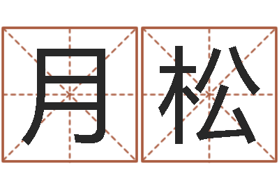 黄月松文生易-电脑算命书籍