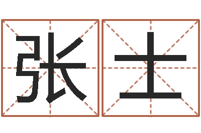 张士给名字调命运集店起名-专业八字算命软件