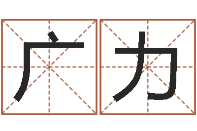 张广力八宅风水学-华南起名取名软件命格大全