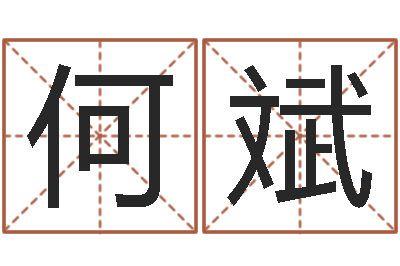 何斌给公司起名字-奥运宝宝起名