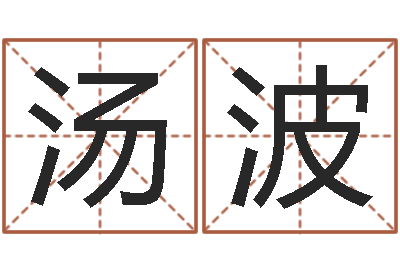 汤波算命致-心水网