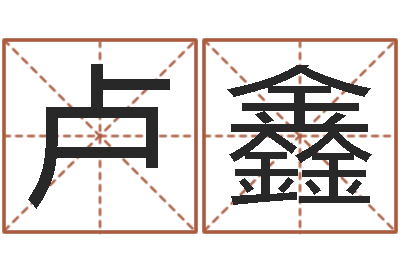 卢鑫命运苗-四柱八字学