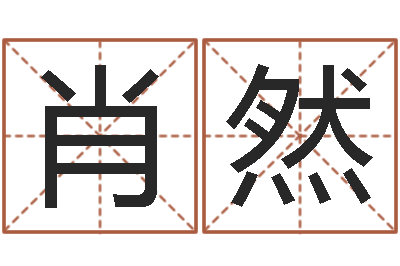 苏肖然问生宝-风水学电子书下载