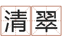 申清翠《重生之仙欲》最新txt-李氏女孩取名