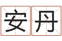 安丹八字算命准的生辰八字-周易五行八卦