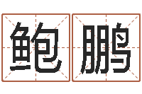 鲍鹏周易入门命局资料-周易网在线免费算命