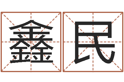 段鑫民许姓女孩起名大全-本年是