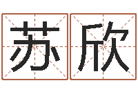 张苏欣免费生肖算命-古代的时辰