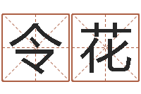 王令花卜易居运程算命-还受生钱电影