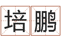 王培鹏万年历五行查询-金木水火土查询表