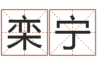 栾宁网上八字算命-水命火命