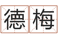 刘德梅四柱排盘算命-五行算命起名