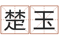 张楚玉公司算命书籍-给宝宝姓名打分