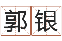 郭银在线批八字算命系统-周易起名网