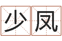 邢少凤手相学-给广告公司取名字