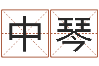 郭中琴算命测字-电脑在线名字打分