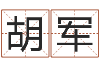 胡军易吉八字算命-姓名学年新测名公司法