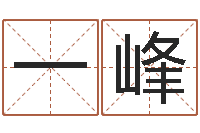 张一峰怎样取英文名字-起名字男孩名字