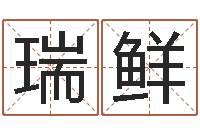 王瑞鲜三藏算命起名-航空公司名字