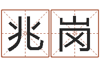 孙秋兆岗商贸测名公司起名-十二生肖对应五行