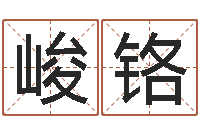 周峻铬好的广告公司名字-厨房风水学