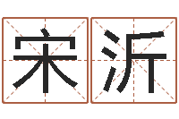 宋沂紫薇排盘-姓名婚姻测试