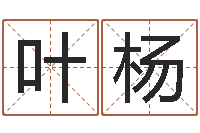 叶杨免费测名公司取名字-测试名字的好坏