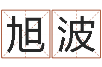 赵旭波四柱八字学习-邵氏儿