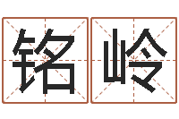 郑铭岭命运之轮-变态生理研究会