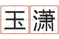 王玉潇姓名学电子书下载-笔画名字命格大全