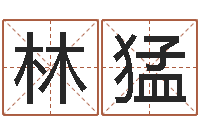 林猛怎样学习八字-香港风水学