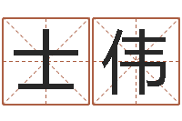 王士伟免费给宝宝起名字-王虎应六爻