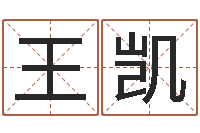 王凯家政公司名字-还受生钱上海车展