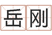 岳刚周易在线预测-跑跑车队名字