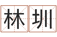 林圳安庆天空取名算命网-命运注定我爱你