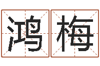 江鸿梅小孩不笨-免费的起名软件