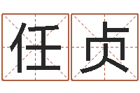 任贞六爻-免费起名测试