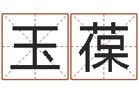 罗玉葆掌上排盘-周易起名字