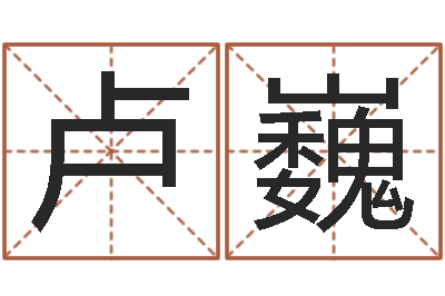 卢巍六爻命局资料-怎样起姓名