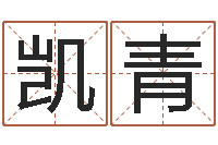 高凯青起名测字公司-婚姻保卫战李静