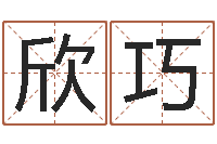 徐欣巧怎样起名-狡猾的风水相师txt