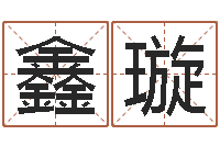 王鑫璇新婴儿起名-金口诀四柱学教程