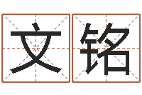 武文铭财运算命-命运石之门04