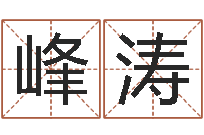 武峰涛与12生肖有关的成语-装饰公司名字