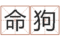 梅命狗图解周易大全-按八字取名