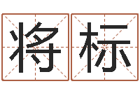 将标五个月婴儿八字-金命性格