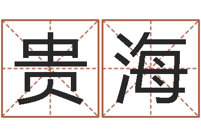 李贵海给我的名字打分-冒险岛取名