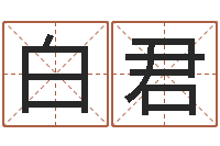 白君马报中版四柱预测-童子命年的命运