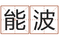 王能波墓地风水视频-企业起名测算